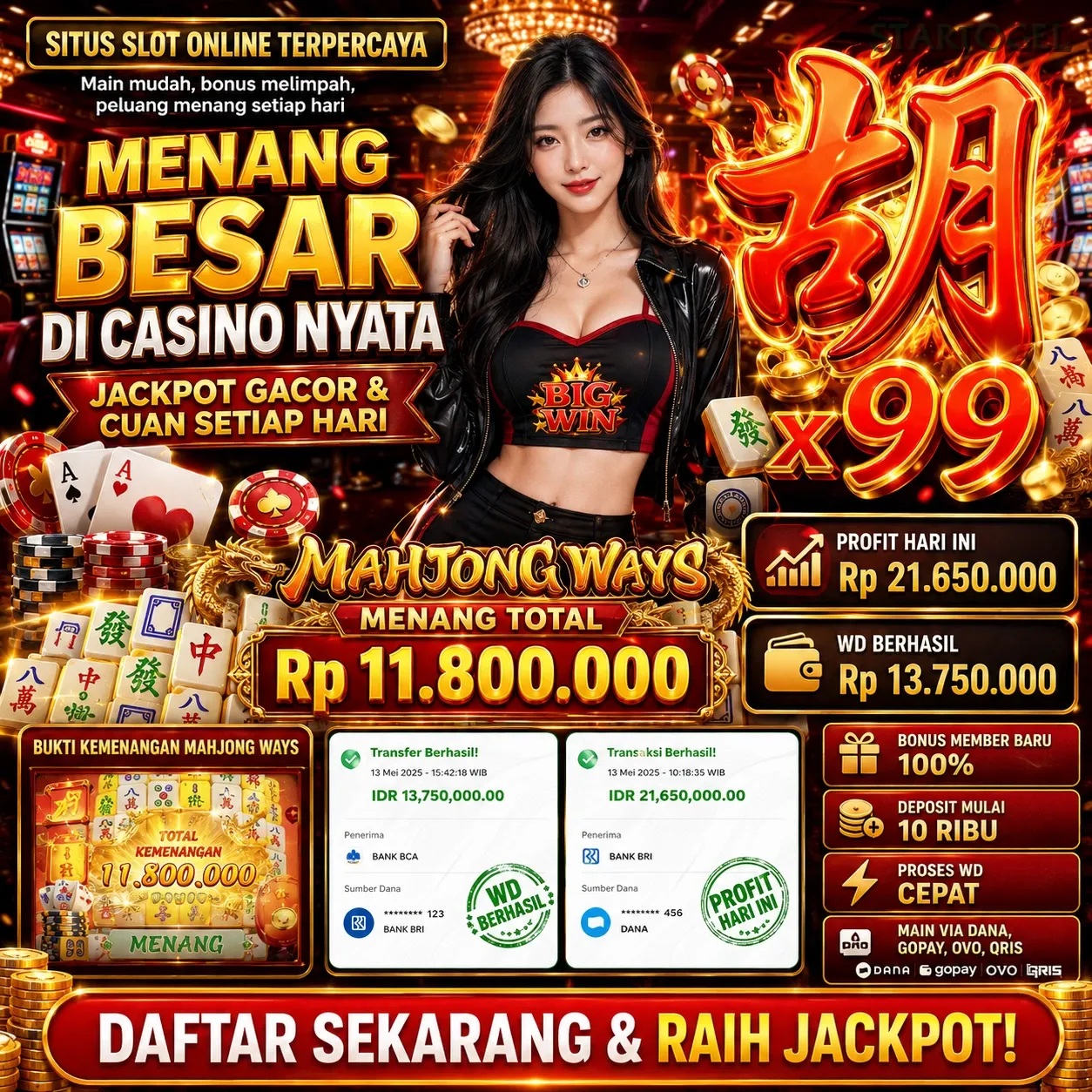 startogel